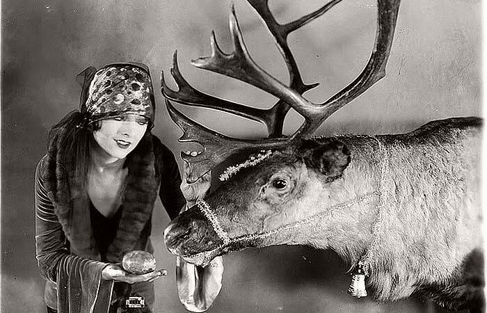 Fregatene, Rudolph!